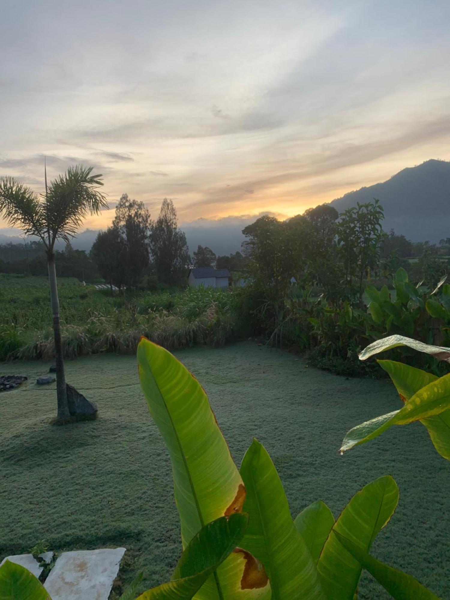 Hotel Bali Lesung Kintamani Zewnętrze zdjęcie